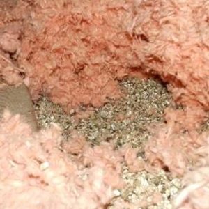 Attic Vermiculite Removal Chilliwack BC